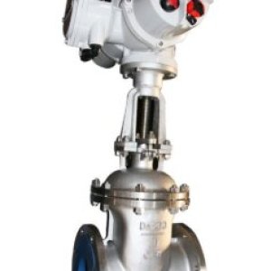 Electric actuated gate valve suppliers in india