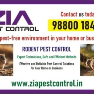 Get rid of rodent | bed bug pest control|residence and office