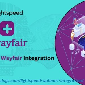 Outpace the competition: integrate lightspeed with wayfair