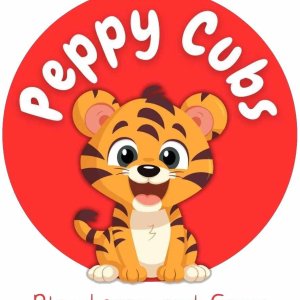 Indoor play zone in gurgaon | peppy cubs