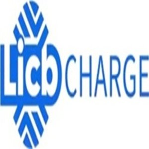 China licb ac dc ev charger co, ltd