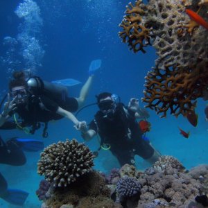 Scuba diving in chivla beach