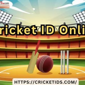 How cricket id online enhances your betting experience