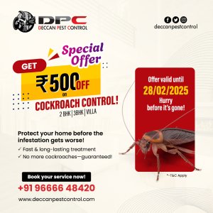 Cockroach pest control in hyderabad