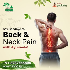 Back pain treatment in delhi