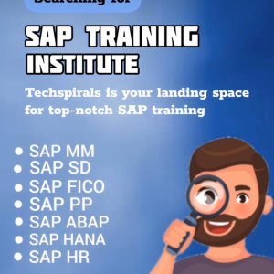 Best sap pp training in gurgaon – get hands-on experience with t