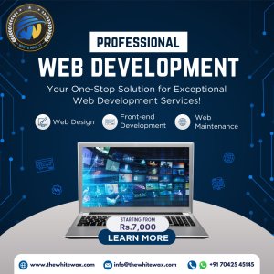 Web development services