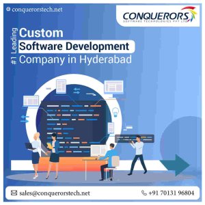 Custom software development company in hyderabad | +91 701 319 6