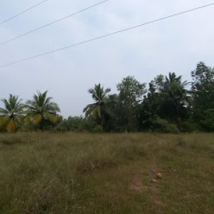 Low budget farm land sale at sriperumbudur