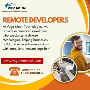 Expert remote developers for your next project