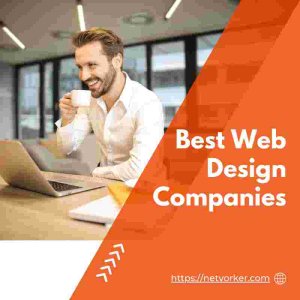 Best web design companies - netvorker