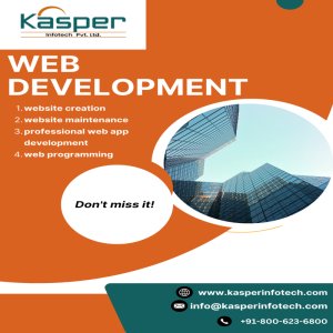 Using professional web development services to unlock success