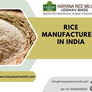 Rice manufacturers in india