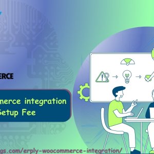 Increasing efficiency: skuplugs integration with erply and wooco