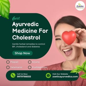 Best ayurvedic medicine for cholesterol : you should try