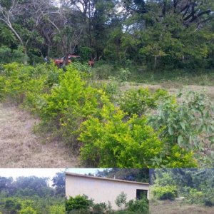 Amplios lotes de terrenos autopista 6 de noviembre