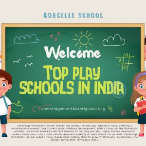 Cambridge montessori: a trusted name among top play schools in i