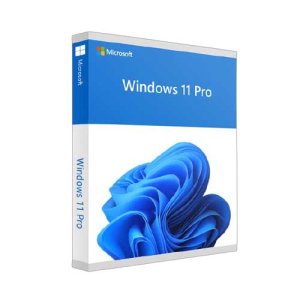 Trusted place to buy windows 11 pro product key – microsofty
