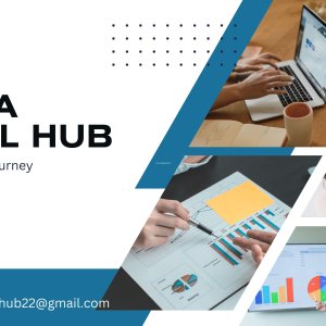 Dikshadigitalhub-best digital marketing agency