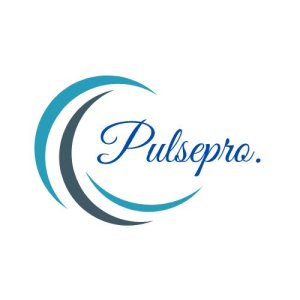 Pulsepro: best digital marketing agency in allahabad